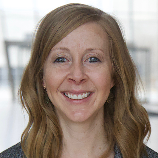 Undergraduate Academic Advisor; Associate Professor of Instruction